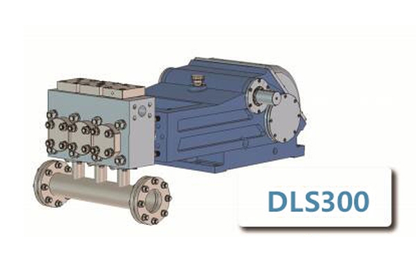 DLS300型高压清洗机